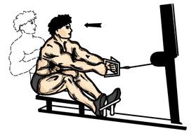 Low Pulley Cable Rowing 1. Grasp the seated pulley handles with palms facing inward. 2. Slowly straighten your arms, sit down and secure your feet firmly on the feet apparatus. 3.