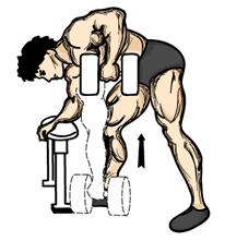 Single Arm Dumbbell Rowing 1. Using a flat bench, grasp a dumbbell with your left hand. 2. Rest your right knee on the flat bench. Balance your body using your free arm. 3. Bend forward at the hips.