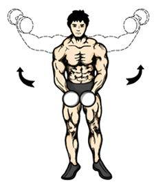 3. Make sure you rotate your palms so they are facing forward. 1. In a controlled fashion, press the dumbbells simultaneously upwards to the overhead position.