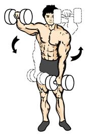 Alternate Front Dumbbell Raise 1. Stand with your feet about shoulder length apart. 2. Lift a pair of dumbbells and allow them to rest on your upper thighs with your palms facing downward.