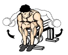 Bent Over Dumbbell Laterals 1. In a seated position with your feet firmly planted on the floor, grasp two dumbbells with both hands. 2.