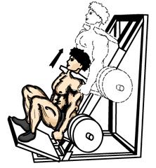 Hack Squats 1. Firmly plant your feet on the hack apparatus. Keep your back straight and flat against the hack rest with your trapezius muscles under the shoulder pads. 2.
