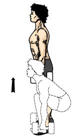 and your shin perpendicular to the floor. Your back knee should almost touch the floor. 2. Using the muscles of the right leg, tighten your contraction and return to the standing position. 3.