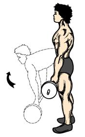 Stiff Legged Dead Lifts 1. You can either perform this exercise on a bench or block. Standing on a bench, grab a light barbell and hold in the arms down position.
