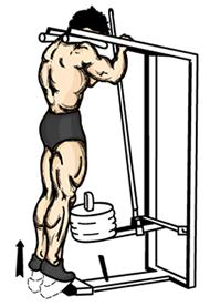 Standing Calf Raise 1. Standing upright, place your toes on the apparatus platform. Ensure that you are on the balls of your feet at the edge of the apparatus platform. 2.