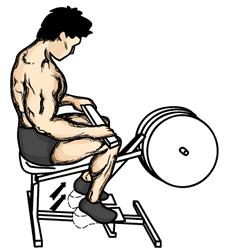 2. Slowly lower your heels as far as possible. Do not bounce at the bottom of the movement. Repeat. Seated Calf Raise 1.