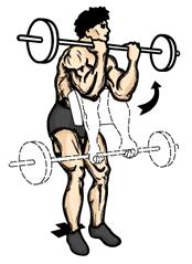 Preacher Curl 1. While seated on a preacher bench, hold your arms over the pad, keeping your back straight and head level. 2. Grasp a barbell in an underhand grip and extend your arms. 1. Curl your arms up to your chin and then slowly extend your arms back down.