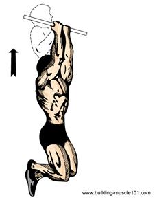 1. Slowly lower the dumbbells until your arms are straight and than bring them back up.
