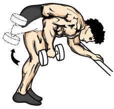 Bent Over Triceps Kick Backs 1. Grasp a dumbbell using an overhand grip. Bend forward at the hips and over so that your torso is parallel to the floor.