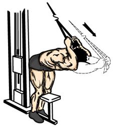 4. Keep the movement fluent, slow, and controlled. Overhead Rope Extensions 1. Attach a rope to the overhead cable pulley. Stand with your facing the pulley.