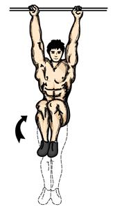 Hanging Leg Raise 1. Grasp the handles of the leg raise apparatus to support your body. 2. Hang your body straight down. 3.