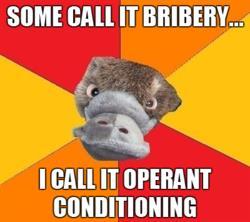SSPBC1 Table of Contents: 90. Conditioning Sub Work 91. Operant Conditioning Notes & Lab 92.