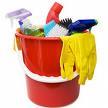 Standard cleaning products you buy at local stores are fine for cleaning your home,