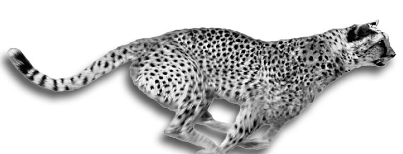 Chapter 14 - Electron Transport and Oxidative Phosphorylation The cheetah, whose capacity for aerobic metabolism makes it one of the fastest animals Prentice Hall c2002 Chapter 14 1 14.