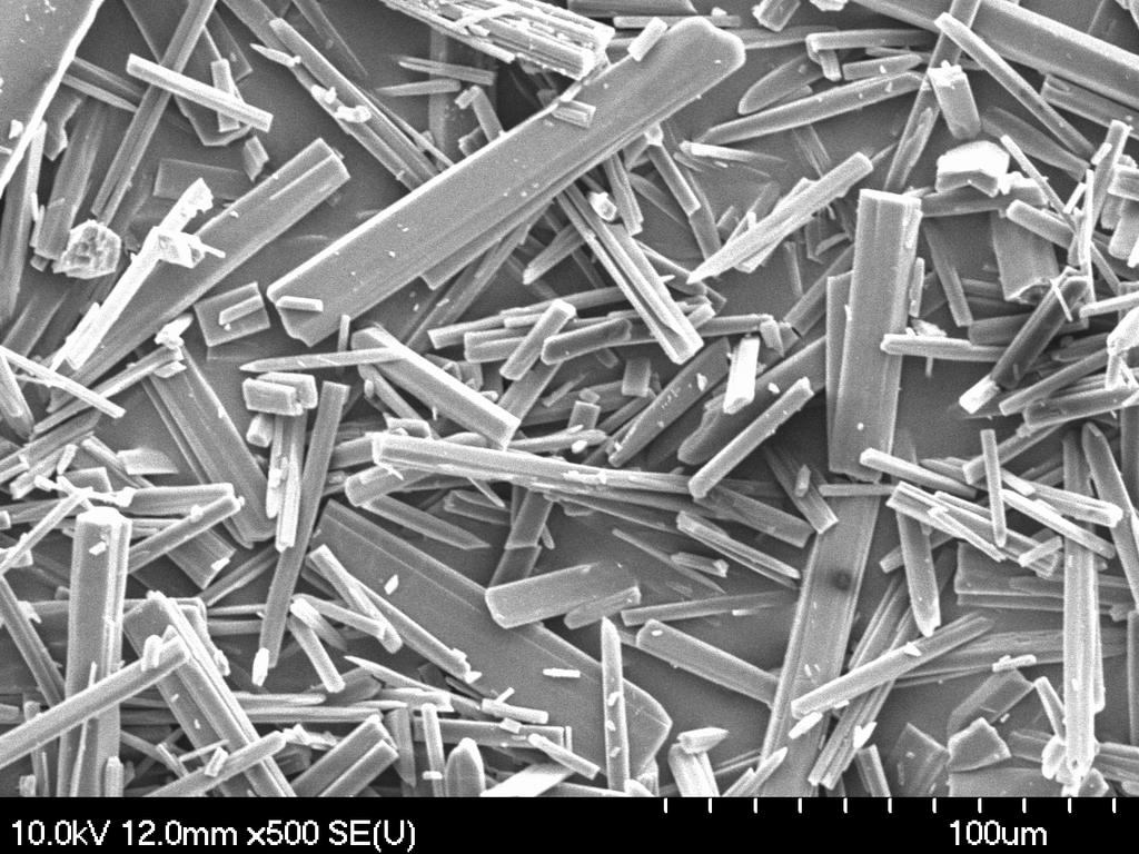 SEM pictures The shape and surface morphology of betulin, betulinic acid and
