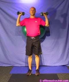 3. BALL DUMBBELL SQUATS Execution: Primary Muscle Group: Quadriceps femoris, Gluteus Muscle Groups Worked in This Exercise: Thigh Flexors, Glutes Preparation: Place a ball between your back and the