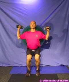 Hold the dumbbells up in your hands next to your shoulders. Breathing: Inhale when sliding your back (and the ball) down the wall; exhale when rising to standing position.