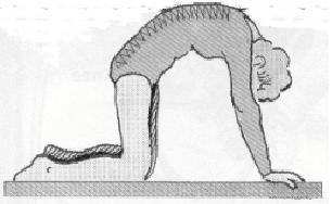 Back Press This exercise strengthens abdominal muscles and buttocks and stretches your back.
