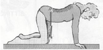 Allow your head to drop slightly keeping your hands and knees still. Hold for 5 seconds, return to the start position, do 8 times.