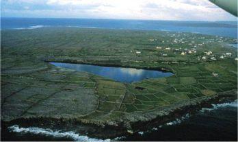 INIS BEAG (LITTLE ISLAND)! Fun facts:! Sexual activity is avoided unless for procreation! No sex education!