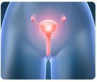 Female Infertility Ovulatory Dysfunction Ovulatory Dysfunction results from Congenital Defects, Hormonal Deficiencies and/or the ageing process.