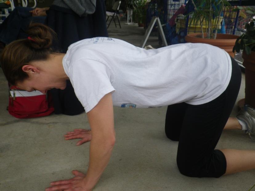 Scapular Push-ups (1 minute) and Push-ups (1 minute) Scapular push-ups Keeping gaze at the floor, elbows straight and low back in neutral position, move shoulder blades