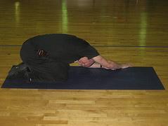 FLEXIBILITY This portion of the training program week 7-9, includes stretches to improve range of motion at a series of joints.