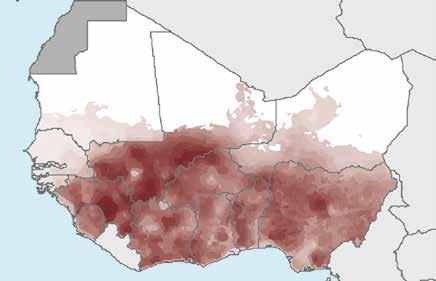 Annex 2 A. Regional profile: West Africa 355 million people at risk for malaria in 215 297 million at high risk A.