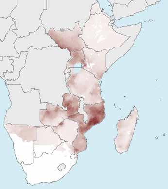 Annex 2 C. Regional profile: East and Southern Africa 319 million people at risk for malaria in 215 232 million at high risk A.