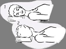 Activity Sheet 16.3a The Workout Neck & Shoulder Neck Stretch Interlock fingers behind your head.