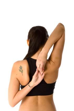 Upward Stretch Extend both hands straight above your head, palms touching.