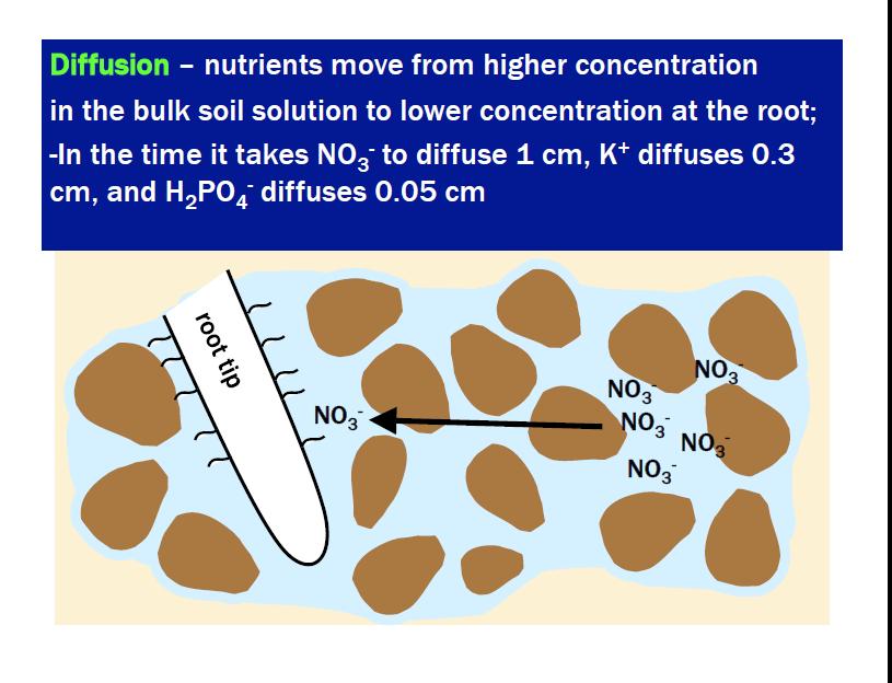 Diffusion is a slow process for nutrients to move to the roots of plants.