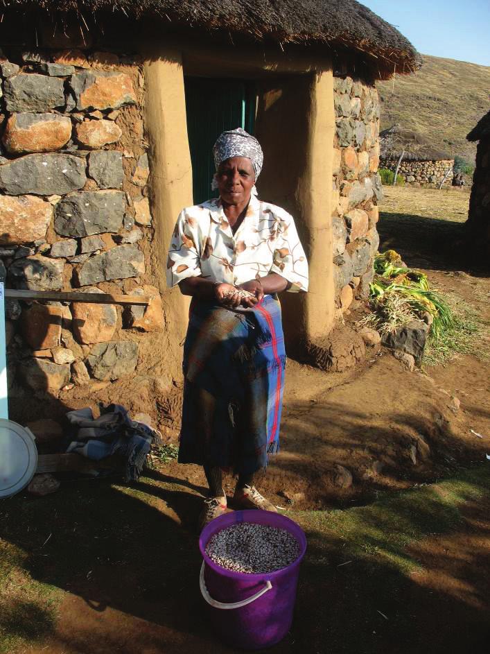 Cross-Cutting Issues Economic Strengthening Food Security Gender Human Rights/Protection Social Welfare Grandmother in Lesotho who cares for