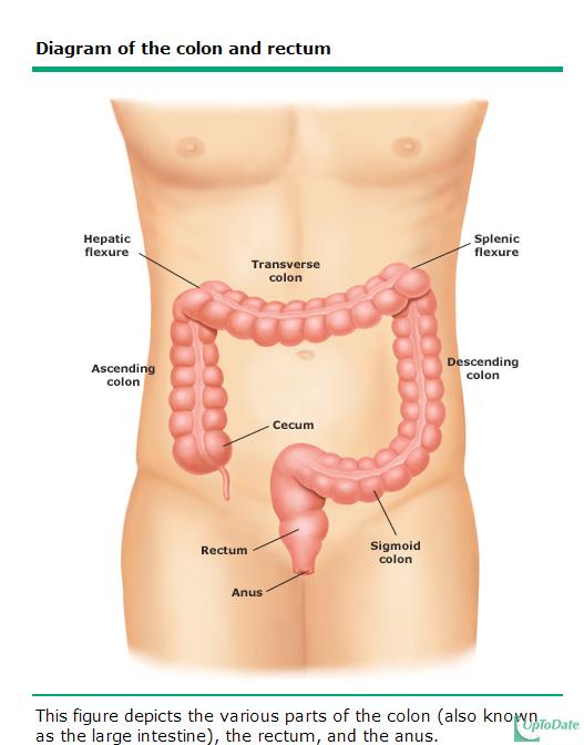 Preparing For Colonoscopy COLONOSCOPY OVERVIEW A colonoscopy is an exam of the lower part of the gastrointestinal tract, which is called the colon or large intestine (bowel).