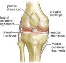 Knee arthroscopy involves the insertion of a tiny computerised camera and special instruments into the knee joint through two or