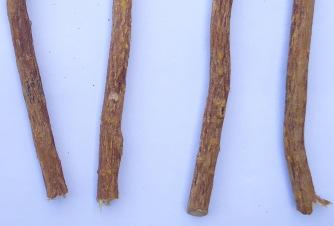 In African populations, roots formed the major chewing parts of plants; other parts commonly used are slim/sliced stem with bark retained or removed, and twigs.