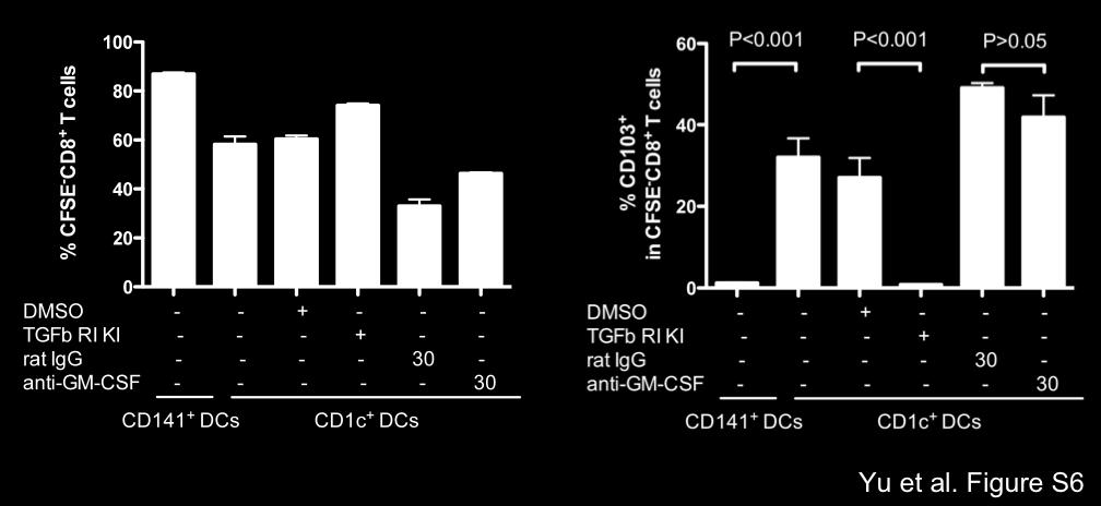 The frequencies of CD3 + CD8 + human T cells in the spleen were analyzed by flow cytometry at day 6. Figure S6: CD1c + DCs elicited the differentiation of CD103 + CD8 + T cells independent of GM-CSF.