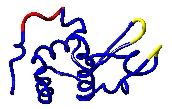 Antigen structure (2) Sequential Epitope