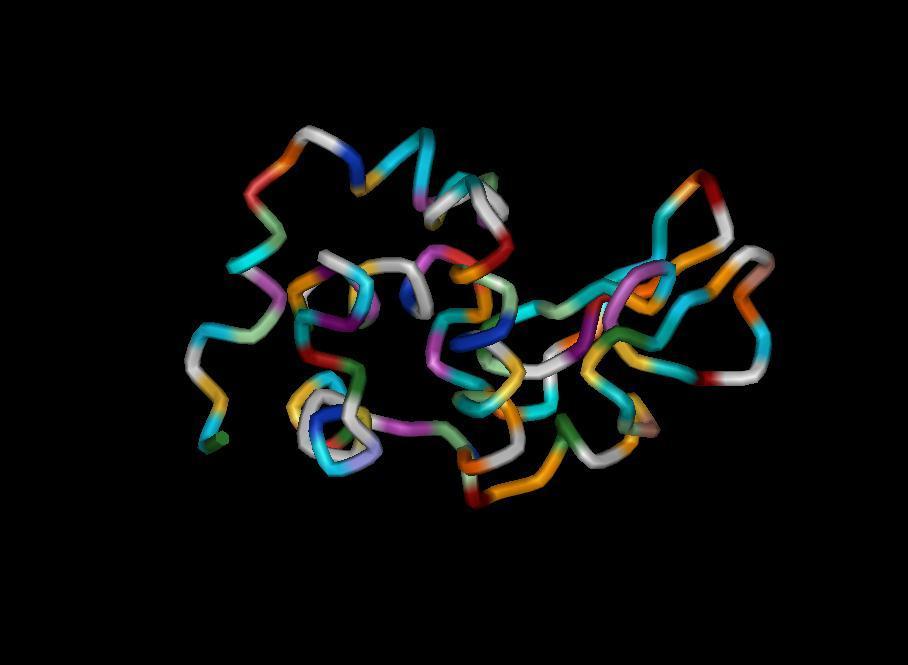 Antigen structure (5)