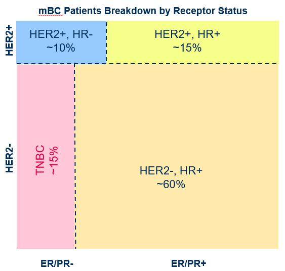Metastatic Breast Cancer Market HER2 - HR + patient group is our primary target Potential label extension is feasible AIPAC: study in hormone receptor-positive (ER + PR + ) metastatic breast