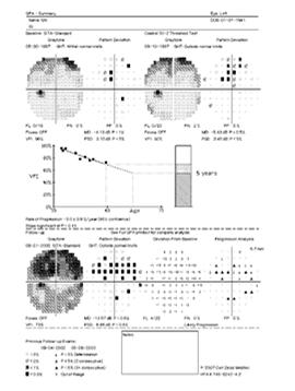 Elements of GPA 1-Page Summary Report HFA GPA VFI Summary - Interpretation at a Glance Baseline Tests
