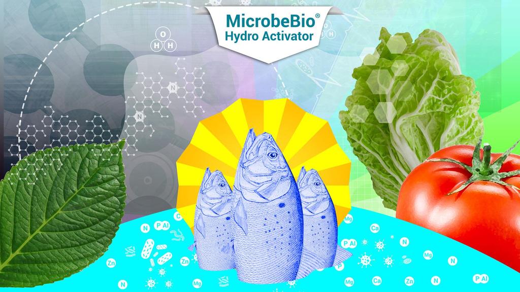 Microbial Enhanced Fish Fertilizer