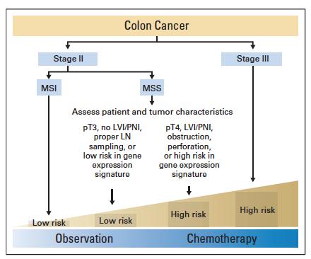 Adjuvant chemotherapy in stage II