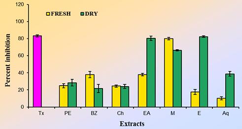 When compared to standard, methanol, ethanol, ethyl acetate, chloroform, benzene extracts showed considerable activity while petroleum ether and aqueous extracts showed least activity.