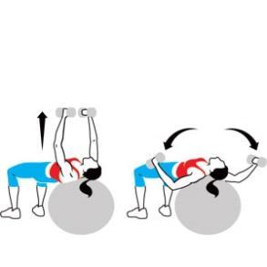 E is for Elbow Plank Tuck hips under slightly.