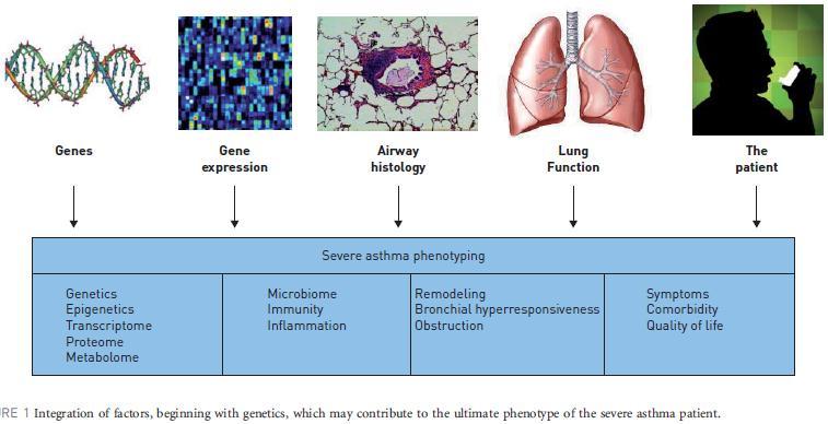 Definition of Asthma Airway narrowing that is reversible (± completely) Heterogeneous group with episodic