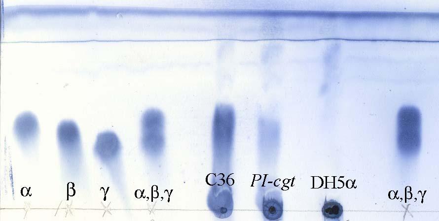 Thin Layer Chromatographic analysis of Cyclodextrins 2μl spotted 4 times, mobile phase was