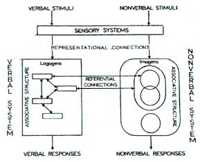 Paivio (1986) duaalse kodeerimise mudel Kognitiivsed protsessid visuaalse ja