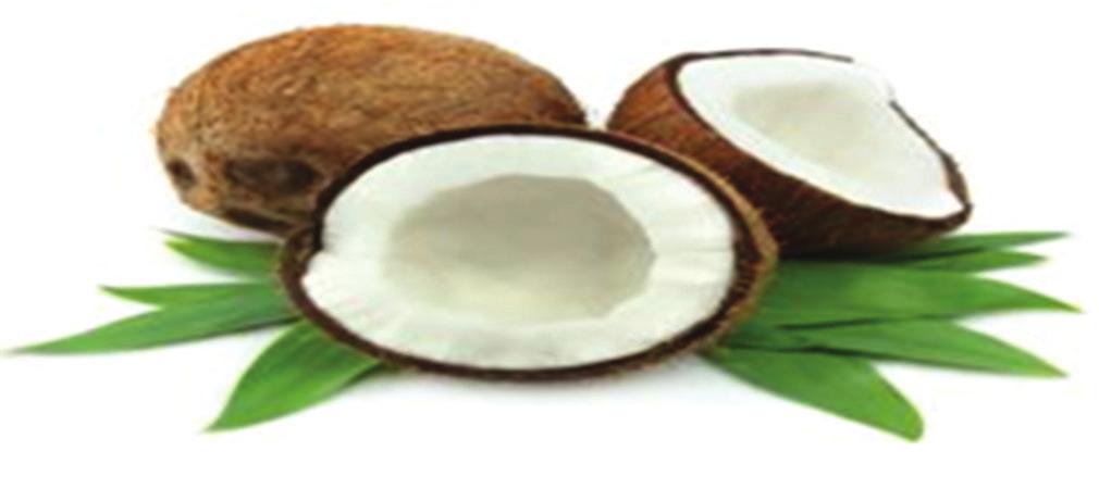 Common name, biological source, and family Coconut oil C.