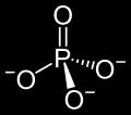 Why Is ATP Hydrolysis So Exergonic?